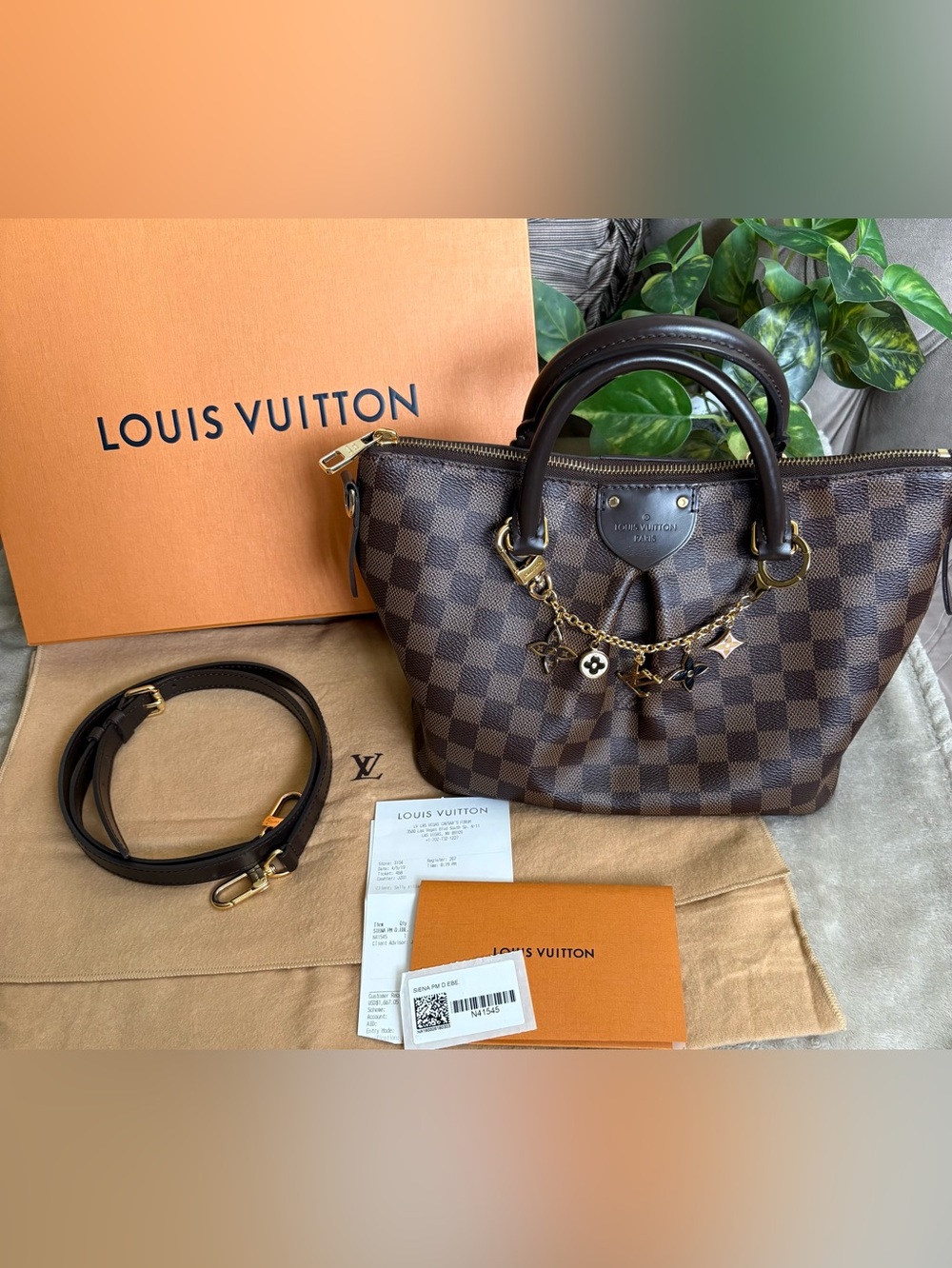 Beautiful Authentic Louis Vuitton Damier Ebene Siena PM Handbag,EUC!